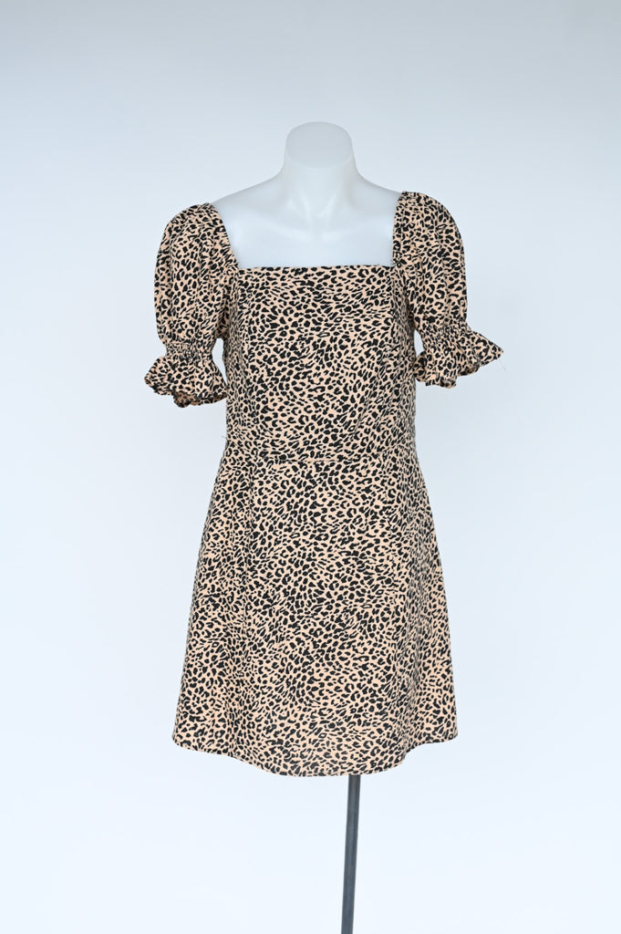 Glassons Dress -10